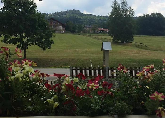 Gaestehaus Biggi Penzion Bodenmais