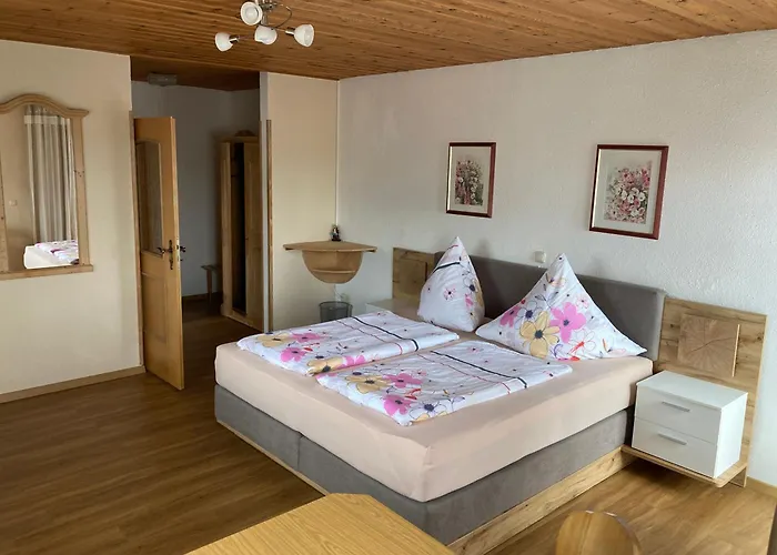 Gaestehaus Biggi Penzion Bodenmais